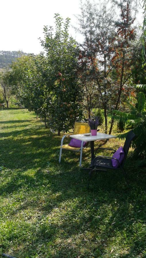 Lavander Garden Camping Hotel Rascruci Exterior foto